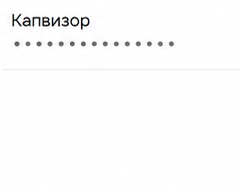 Фрагмент строки ключа с названием «Капвизор»; значение скрыто